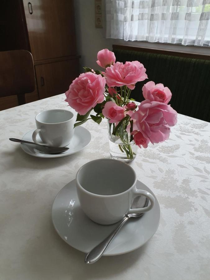 Apartment 11 Bad Ischl Dış mekan fotoğraf